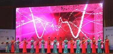 第四屆開封藝術(shù)節(jié)舞蹈展演 輕舞飛揚滿城芳 今天舉行