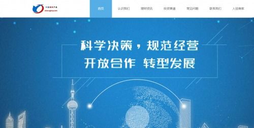 中國理財(cái)產(chǎn)品 信息化時(shí)代下的電商平臺(tái)