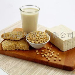 福樂食品貿易 產品展示、國內代理與市場口碑深度解析