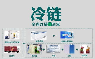 壹天一參史紅新 破解生鮮O2O困局，打造高端滋補(bǔ)品國(guó)內(nèi)貿(mào)易代理新標(biāo)桿