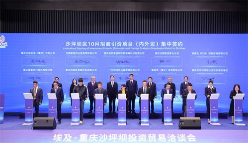 重慶沙坪壩投資貿(mào)易洽談會(huì)成功舉行，簽約6個(gè)對(duì)非經(jīng)貿(mào)合作項(xiàng)目助力信息咨詢(xún)服務(wù)升級(jí)